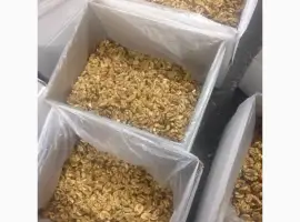 Зображення для оголошення Продам грецкий орех бабочка и микс от поставщика 5 тонн