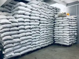 Зображення для оголошення Продам круглый орех