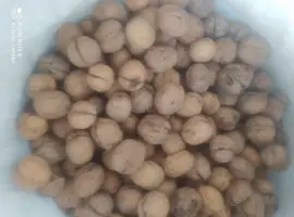 Зображення для оголошення Продам горіх кругляк