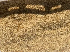 Зображення для оголошення Продам крошку размер 3-5