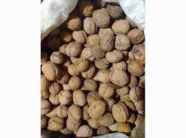 Зображення для оголошення Куплю орех