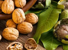 Зображення для оголошення Продам волоський горіх