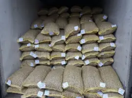 Зображення для оголошення Куплю цілий грецький горіх