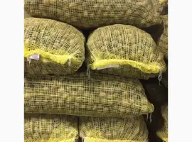 Зображення для оголошення Продажа грецького горіха хорошої якості по Україні и Европі