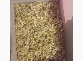 Зображення для оголошення Куплю горіх кругляк