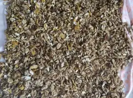 Зображення для оголошення Купую чищений сухий грецький горіх