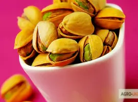 Зображення для оголошення Продам фисташки