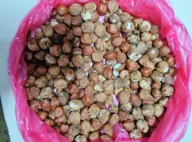 Зображення для оголошення Продам фундук очищенный