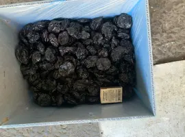 Зображення для оголошення Продам чорнослив без кістки