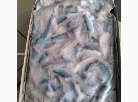 Продам филе сельди