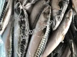 Продам рыбу свежемороженую/ Продам рибу свіжоморожену