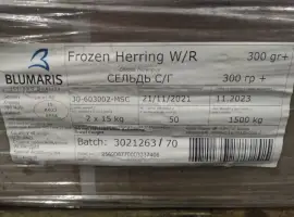 Оселедець 300+ Ісландія