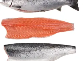 Зображення для оголошення Продаем лосось замороженный и морепродукты оптом