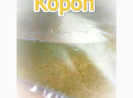 Зображення для оголошення Личинка Коропа.Киев