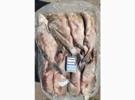 Зображення для оголошення Продам свежемороженую рыбу – лещ