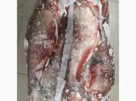 Рыбный цех реализует окунь с/м Густера