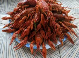 Зображення для оголошення Куплю Живых Раков