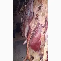 Зображення для оголошення Есть покупатели баранины говядины живую