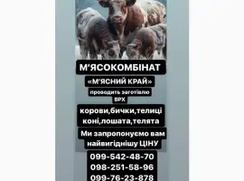 Зображення для оголошення Мʼясокомбінат «Мʼясний Край» Дорого Закуповує ВРХ