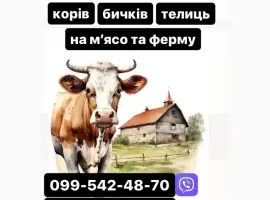 Зображення для оголошення Купляємо ВРХ