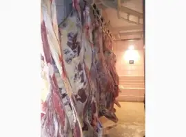 Зображення для оголошення Продам говяжьи полу туши