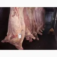 Зображення для оголошення Продам продукцию из говядины от производителя с 20 тонн. Кроме Европи