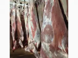Зображення для оголошення СРОЧНО продам от производителя говядину и свинину на экспорт внутренний рынок с 20 тонн
