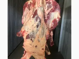 Зображення для оголошення Яловичина