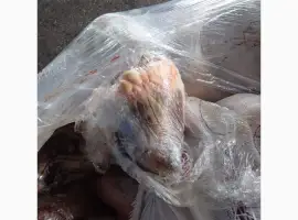 Серце яловиче заморожене ціле