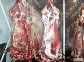 Зображення для оголошення Продамо м'ясо яловичини I-ї категорії на кістці