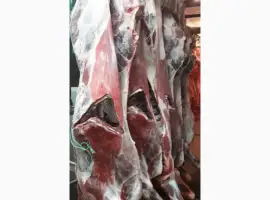Зображення для оголошення ПрАТ АГРО-ПРОДУКТ продає охолоджене мясо на кості та кускове мясо бика і корови