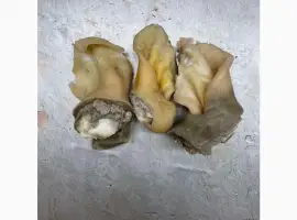 Зображення для оголошення ПрАТ АГРО-ПРОДУКТ продає вуха