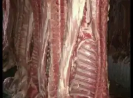 Зображення для оголошення Мясо полотуші Врх Свинина