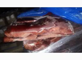 Зображення для оголошення Продам печень говьяжью