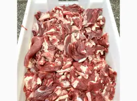 Продам Мясо говядины