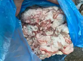 Зображення для оголошення Продам жир свиной кишечный