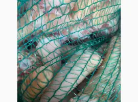 Зображення для оголошення Продам хвости свинні За запитом