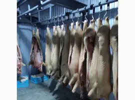 Зображення для оголошення Продам убойный цех