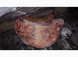 Зображення для оголошення Жир