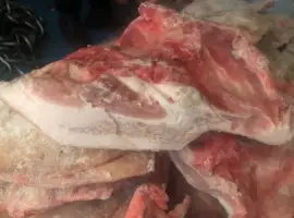 Зображення для оголошення Баки свині