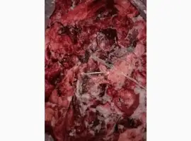 Зображення для оголошення Продам лёгкое свиное