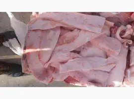 Зображення для оголошення Куплю сало