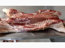 Зображення для оголошення Куплю напівтуші свинні