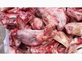 Зображення для оголошення Продам голови свинні
