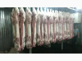 Зображення для оголошення Мясо Свіже Охолоджене в пів тушках