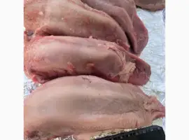 Зображення для оголошення Продам язик свиний заморожений