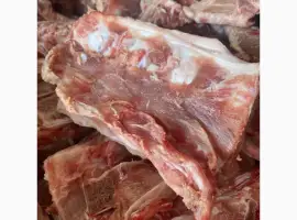 Зображення для оголошення Продам кістку хребтову