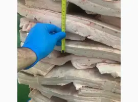 Зображення для оголошення Продаємо оптом сало іберійської свині на шкурі