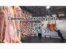 Зображення для оголошення Свинина свежий забой цена