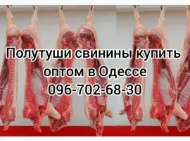 Зображення для оголошення Полутуши свинины цена